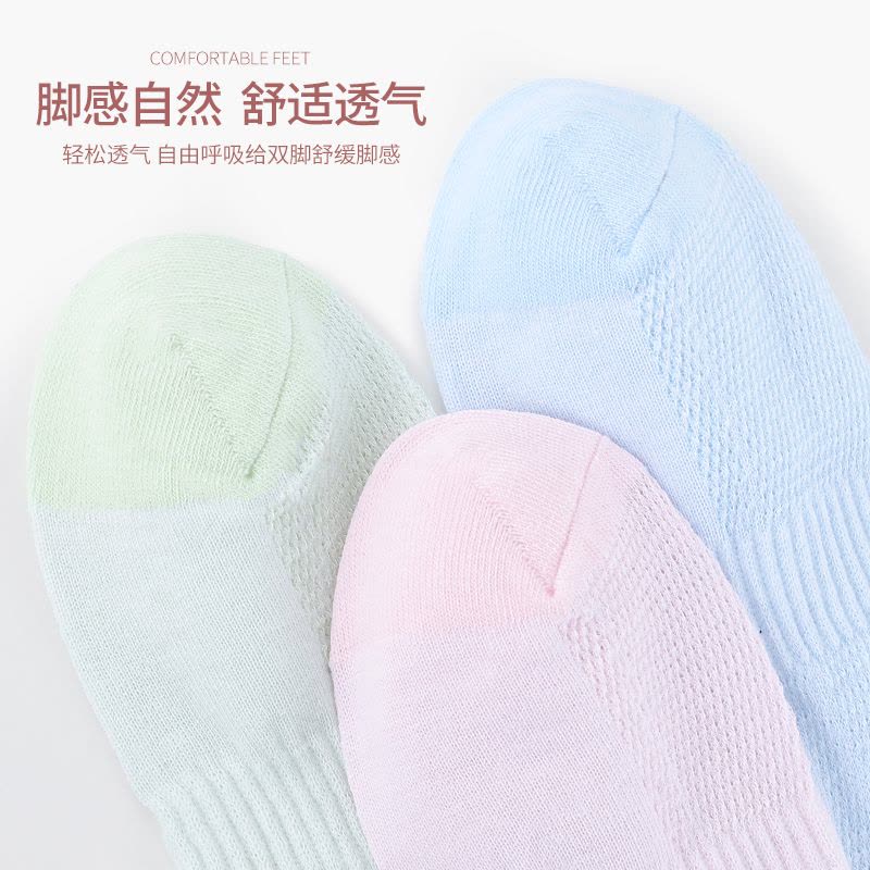 袜子女船袜不掉跟夏季薄款2025新款纯棉防臭网眼透气女士短袜浪莎图片