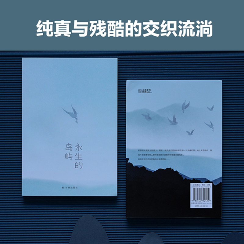 醉染图书永生的岛屿9787544792424高清大图