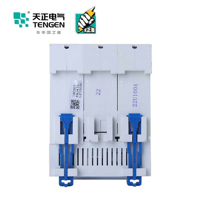 天正电气 DZ47LE-125 2P 30mA 热磁式 230VAC 01070020534 微型漏电保护断路器