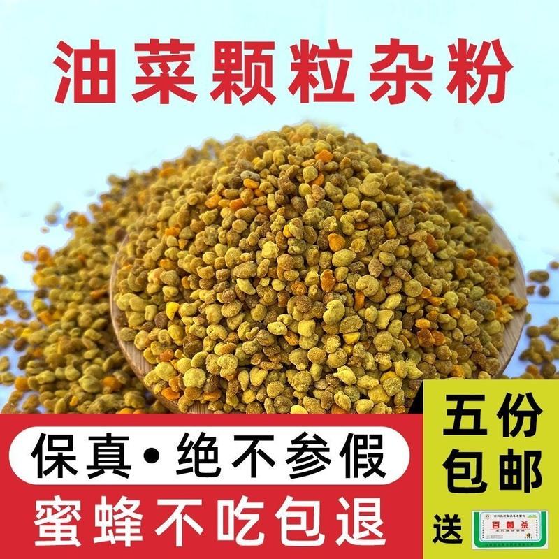 油菜杂粉中蜂意蜂花粉蜜蜂饲料喂蜂花粉养蜂花粉蜂粮花粉油菜杂粉1斤参数配置 规格 性能 功能 苏宁易购