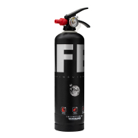 神龙 灭火器 水基型(水雾)不锈钢环保灭火器2升 SAFE版黑银款 车载家用及商用灭火器2L MSWZ/2B 消防器材