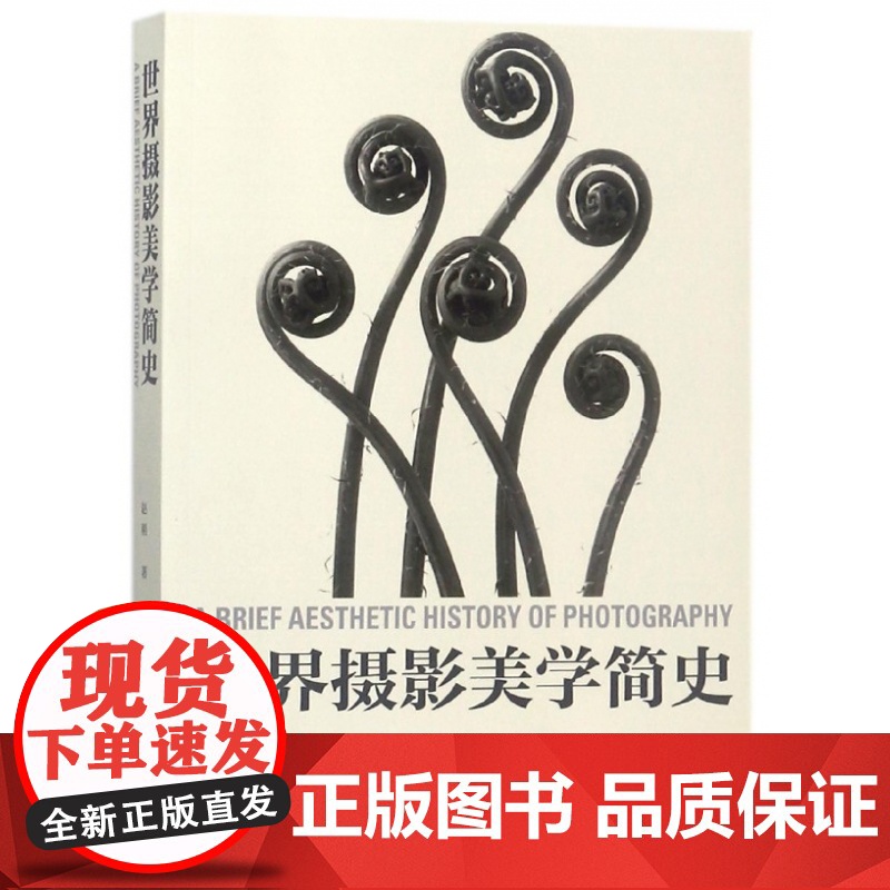 世界摄影美学简史 中国摄影出版社