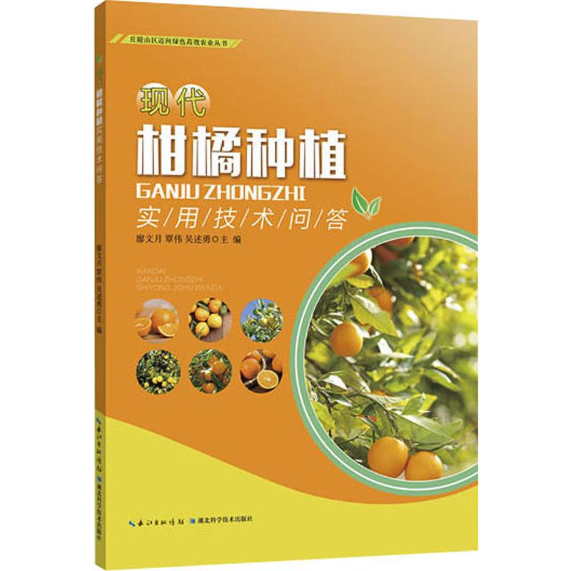 [M]现代柑橘种植实用技术问答-9787570606009高清大图
