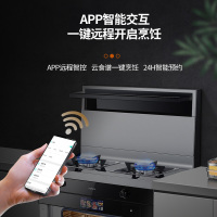 [2021新款]康佳(KONKA) KD21 集成灶 彩屏智能菜单家用蒸烤一体侧吸下排油烟机燃气灶环保一体灶 液化气