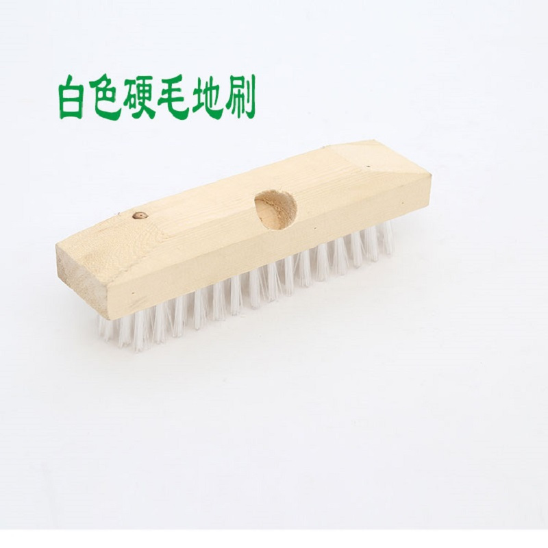 硬毛长柄地刷
