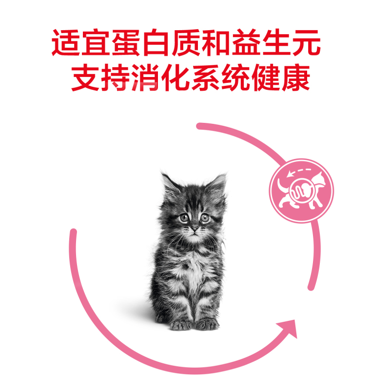 ROYAL CANIN 皇家猫粮 K36幼猫猫粮 全价粮 4-12月龄 0.4kg 支持免疫系统 呵护消化健康
