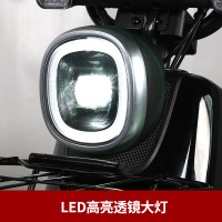 新大洲PALLA电动车 新国标48V24ah锂电池成人电瓶车代步车电动自行车长续航 K9幻影粉