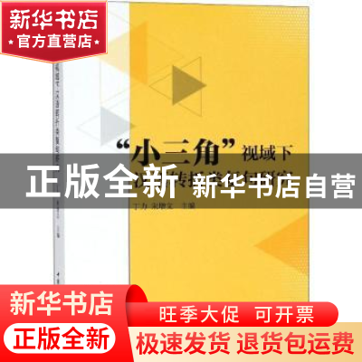 正版 “小三角”视域下汉语转折类复句研究 丁力,宋增文主编 中
