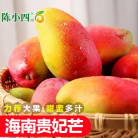 贵妃芒 芒果 5斤 小果 50-100g 新鲜水果 陈小四水果 当季应季生鲜特产