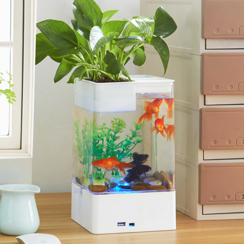 水培植物养鱼缸一体家用塑料创意懒人小型免换水桌面斗鱼专用客厅高清大图