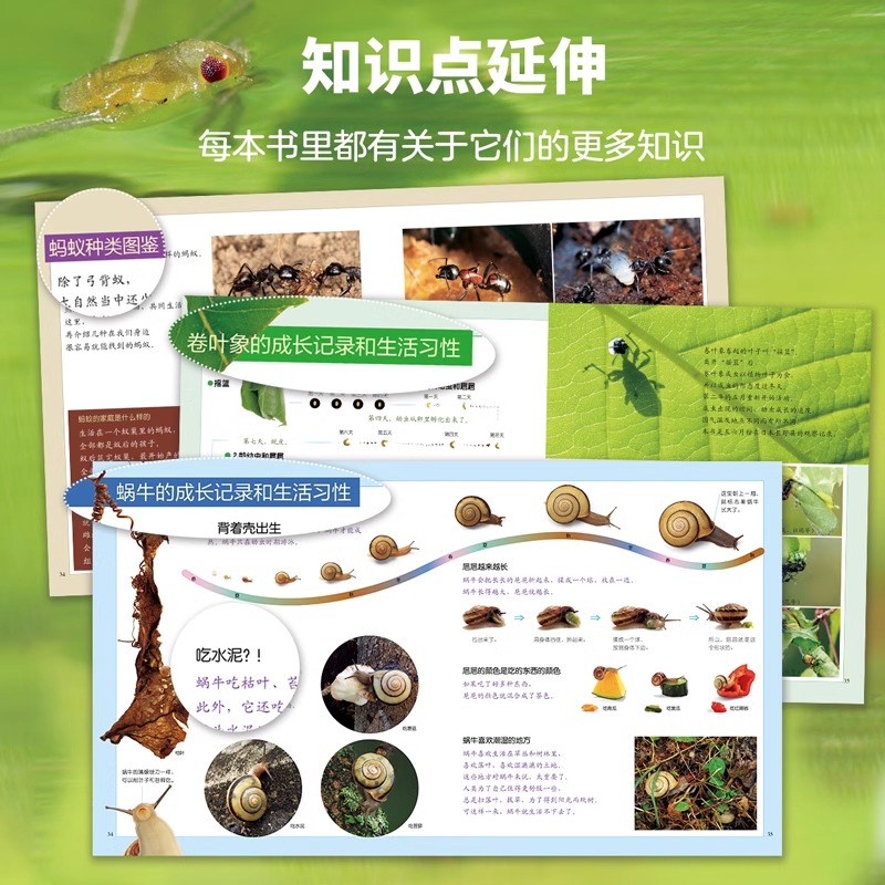 [⭐️⭐️44册礼盒赠音频]1-4辑+番外篇(最新版共44册) [正版]全套44册生命的故事绘本0到3岁-4-5-6高清大图