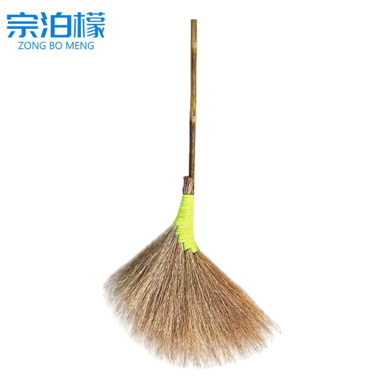 宗泊檬扫帚高清大图