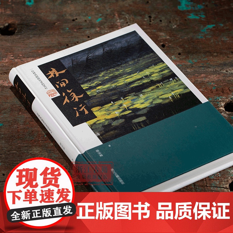 林间徐行:一位林风眠研究者的笔记 徐宗帅 著 一本徐宗帅数十年间研究林风眠的笔记合集 名人传记研究参考资料 浙江古籍出版高清大图