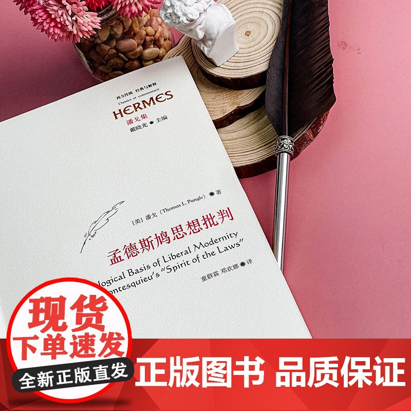 孟德斯鸠思想批判 潘戈 著 政治哲学研究 启蒙理性主义 华东师范大学出版社高清大图
