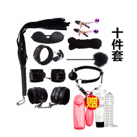 成人SM用品组合套装十件情侣性生活情趣玩具夫妻房事男女用刑具皮鞭捆绑乳夹女性系列口球口塞另类道具床上调教工具久爱