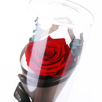 Para Ella 010系列彩灯许愿瓶红色玫瑰花永生花礼盒鲜花速递女神节创意礼物情人节礼物生日结婚纪念日礼物送女生女友