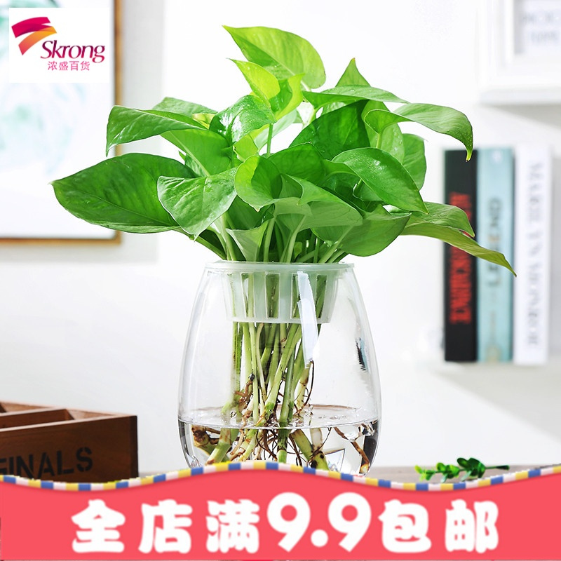 创意大号透明玻璃欧式花瓶 桌面水培绿萝观音竹花瓶鱼缸容器摆件