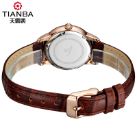 天霸(TIANBA)复古时尚休闲女士皮带手表经典表盘专柜同款石英表 女TL3011.02PC白色