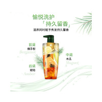 欧莱雅茶树植萃洗发水无硅油女去屑控油500mL*2瓶套装