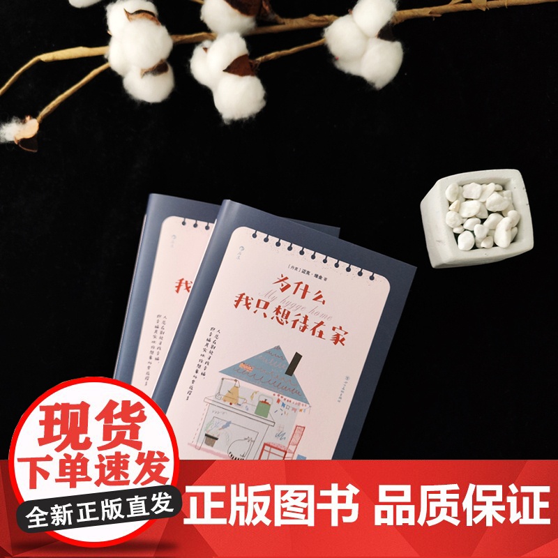 为什么我只想待在家 创造美好居家氛围的北欧生活艺术 一份高清大图