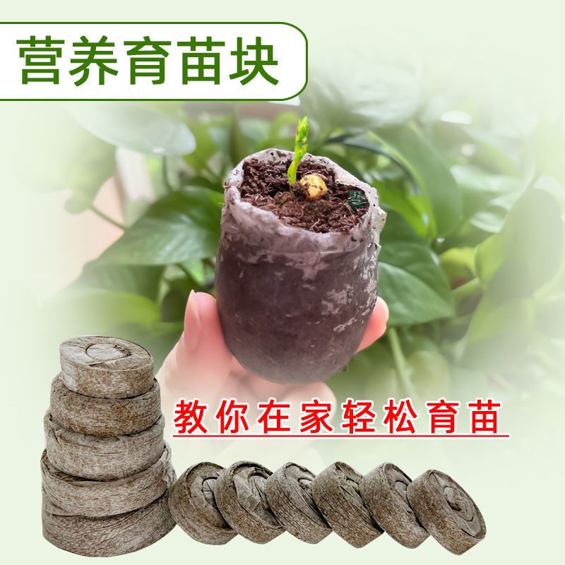 培育种子营养土无纺布育苗块压缩泥炭椰糠土一体叶插养花扦插专用-无需脱袋;50块高清大图