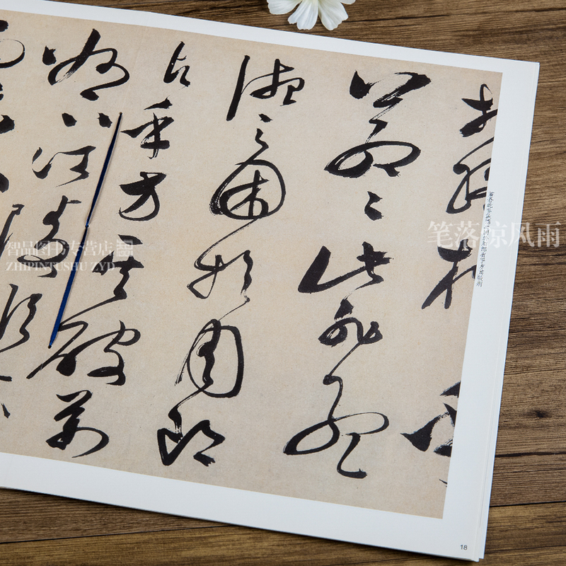 [正版]文徵明草书前赤壁赋 第九集彩色放大本中国碑帖 繁体旁注草书法帖毛笔书法字帖 孙宝文编 上海辞书出版社高清大图