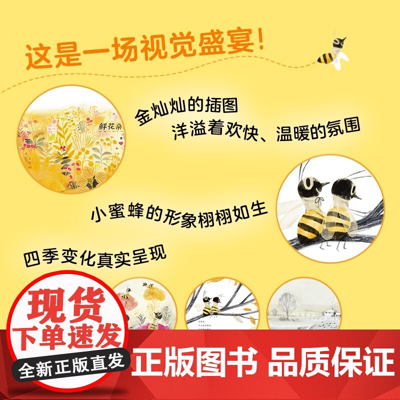 [央视网]看 蜜蜂 儿童绘本儿童低幼故事绘本 7-14岁 9787556263455 TJ高清大图