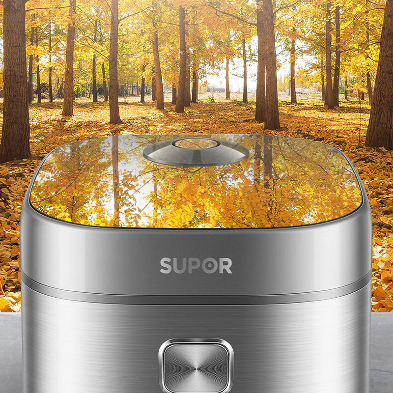 苏泊尔(SUPOR)电饭煲电饭锅4L SF40FC99 星空灰高清大图