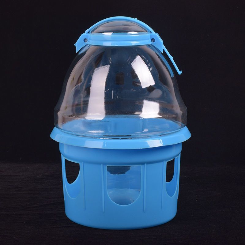 信鸽用品鸽具鸽子饮水器赛鸽水壶鸽子用具鸽子用水槽鸡鸭透明水壶 2升