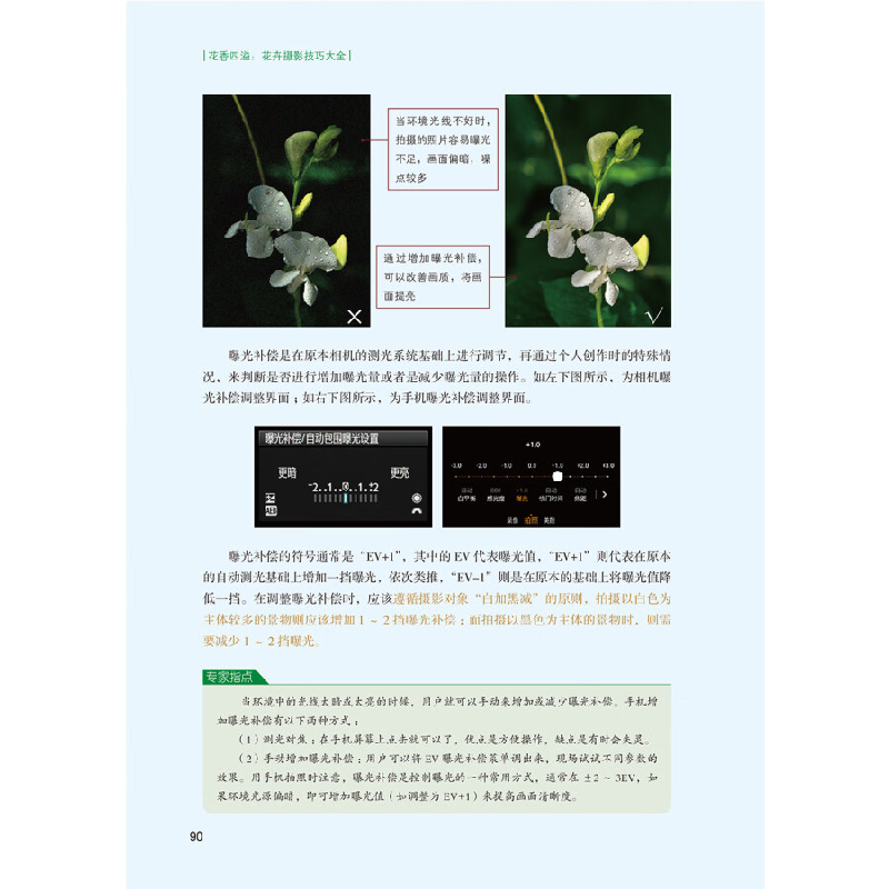 正版新书]花卉摄影技巧大全 花香四溢 (全书50多个花卉花艺摄影高清大图
