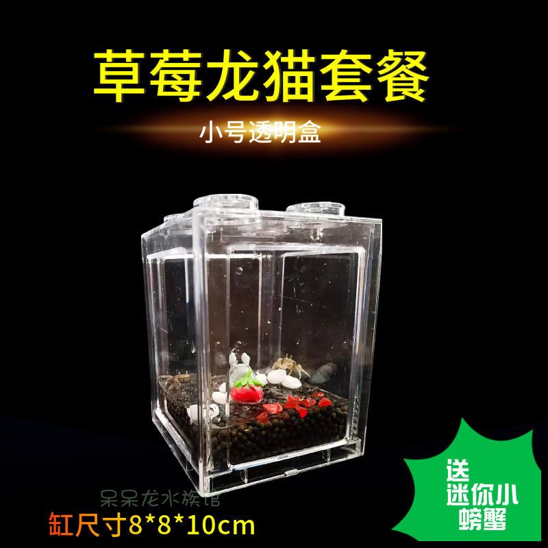 辣椒蟹观赏蟹小螃蟹饲养套餐创意微景观节日礼物透明缸生态鱼缸 小号积木盒透明裸盒+送2小螃蟹