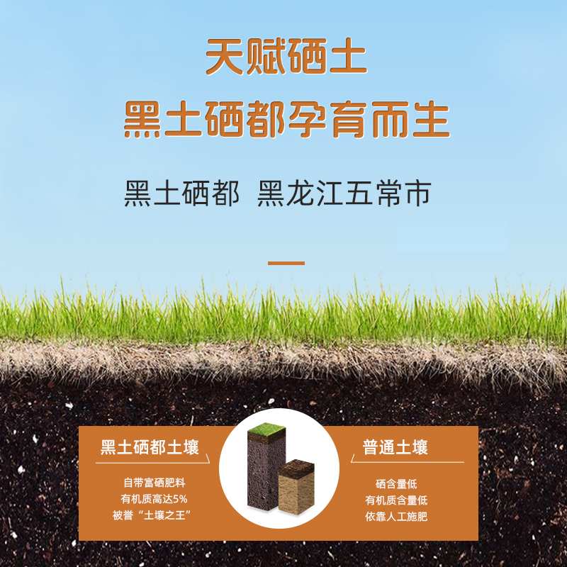 陇间柒月生态五常大米非转基因绿色健康10斤装粒粒饱满香甜可口高清大图