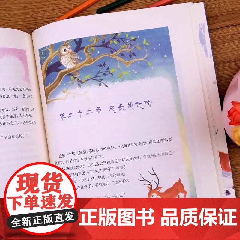 小鹿斑比正版非注音小学生三四五六年级必读课外书少儿图书儿童文学经典作品老师彩图美绘版中国少年儿童图书著作高清大图
