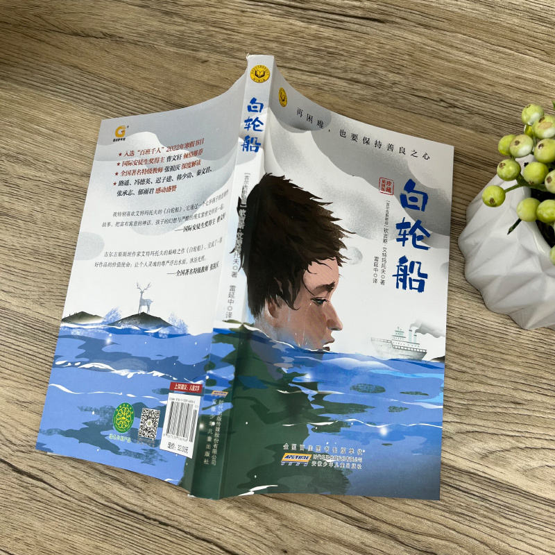 我在古代逛花园 [正版]白轮船 六年级 祖庆说百班千人大阅小森书籍 白轮船书 小学生课外书必读书籍儿童文学图书 安徽少年
