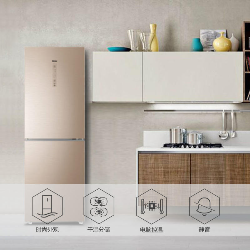 海尔(Haier)269升 双门冰箱 风冷无霜 大冷冻空间 电脑控温 节能低音 家用双门电冰箱 BCD-269WDGG