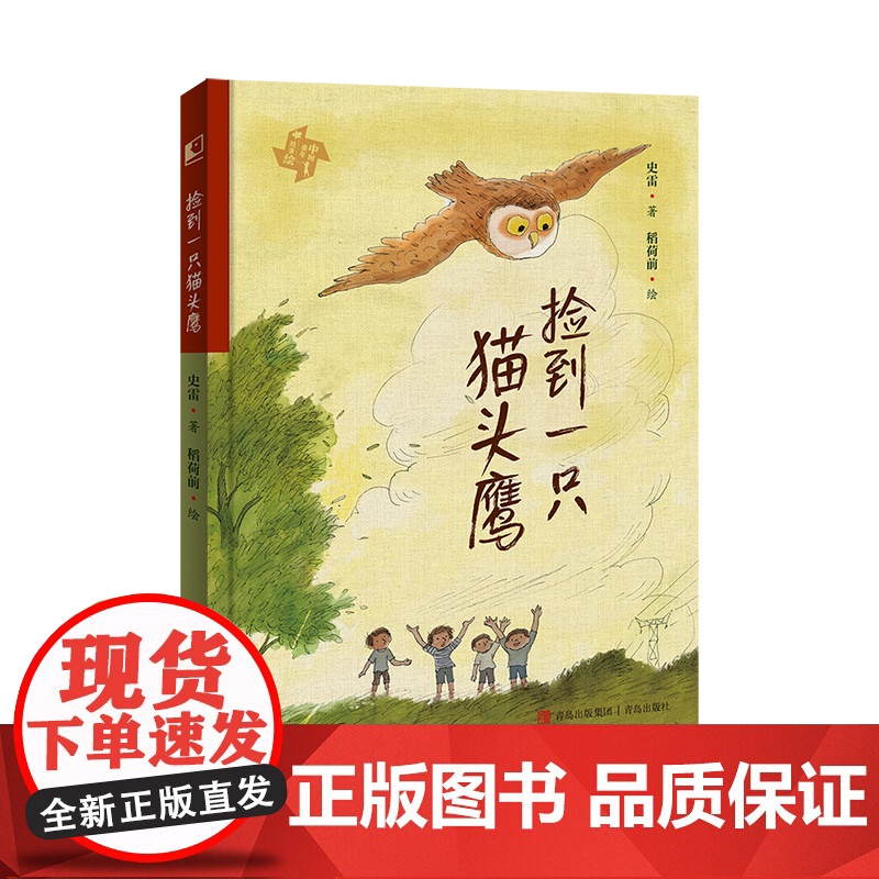 捡到一只猫头鹰精装 中国童年故事绘 儿童游戏故事书 童年 儿童成长课外阅读故事书高清大图