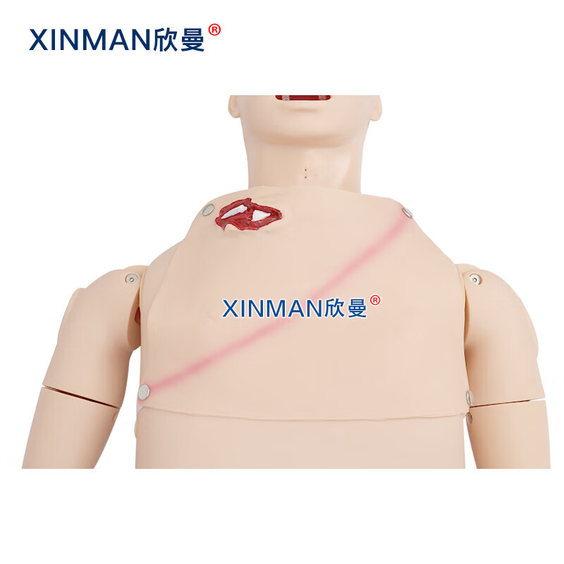 欣曼科教 基础伤情模拟人 全功能创伤包扎止血救护人体模型XM-Y1011高清大图