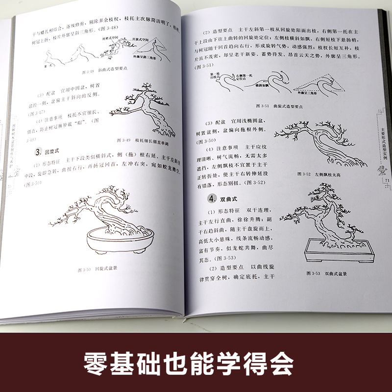 [正版图书]图解树木盆景制作与养护 盆景书籍盆栽图书大全树木盆景造型设计书栽培技术盆景栽培技术书中小型盆景制作图解家庭园高清大图