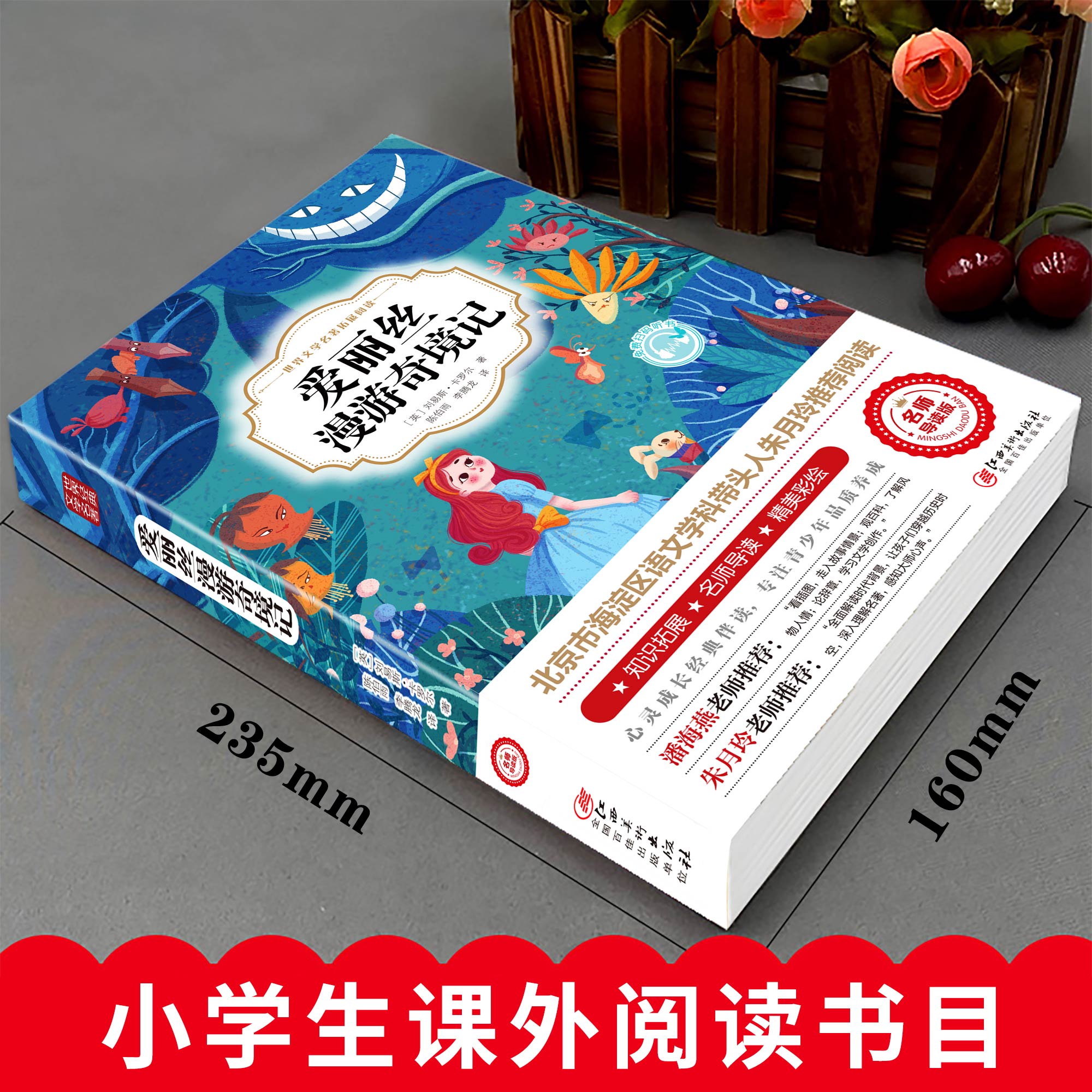 海底两万里 [正版]爱丽丝漫游奇境记书 爱丽丝梦游仙境书六年级下册必读书目 小学生课外书奇镜彩绘原版原著阅读书籍五年级老高清大图
