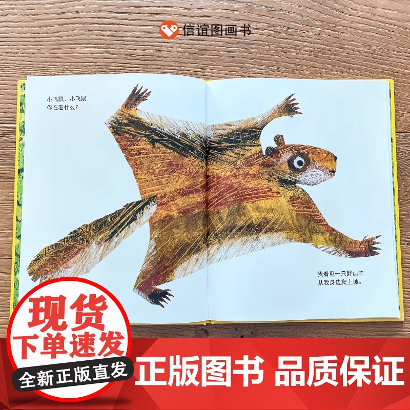 熊宝宝熊宝宝你在看什么硬壳精装图画书儿童绘本适合3-8周岁图书艾瑞·卡尔绘本亲子阅读信谊正版高清大图