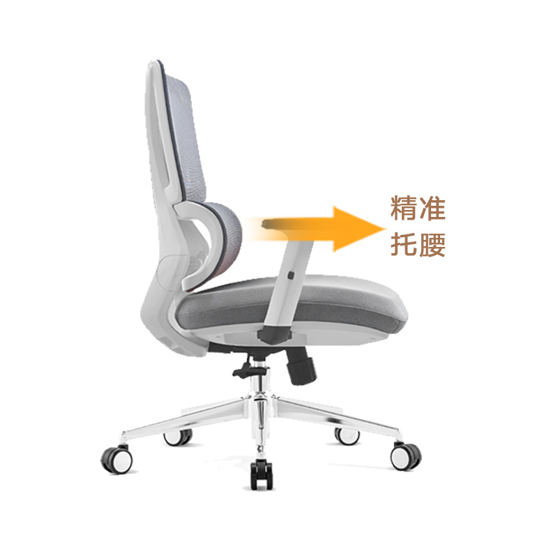 臻远 ZY-8940 办公椅人体工学椅转椅 定型棉白框 单位:把高清大图
