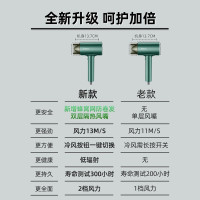 志高(CHIGO) 电吹风家用吹风机洗头吹干不伤发负离子冷热干发机ZG-DCF38(曼巴绿)