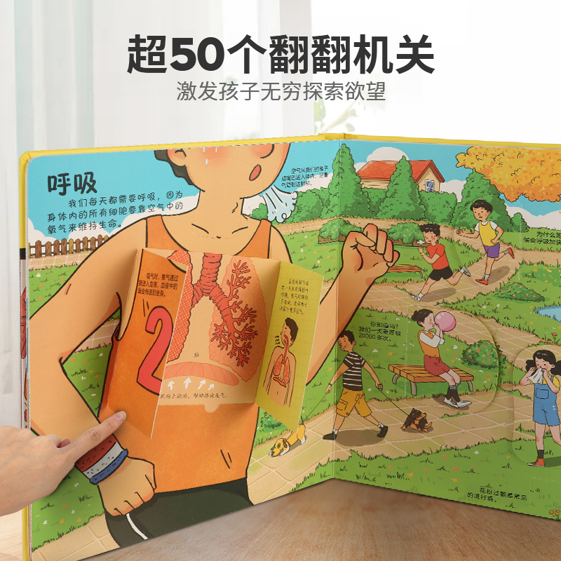 揭秘系列新款翻翻书-揭秘身体 [正版] 揭秘翻翻书系列全套 儿童3d立体书3-6-8-10岁以上人体科普我们的身体百科全