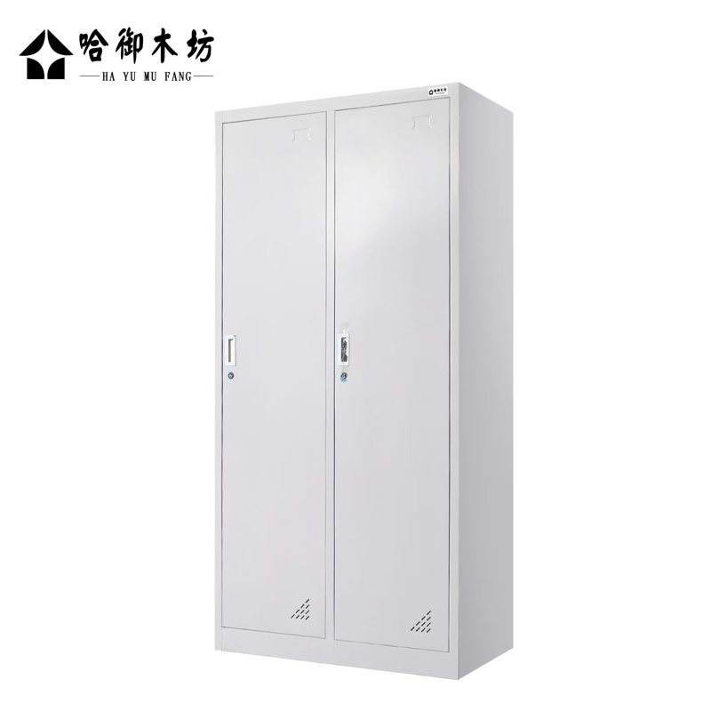 哈御木坊 铁质两门更衣柜文件柜 900*500*1900mm 个高清大图