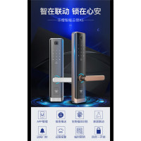 大华乐橙智能云锁K6 指纹锁家用防盗门智能锁密码锁