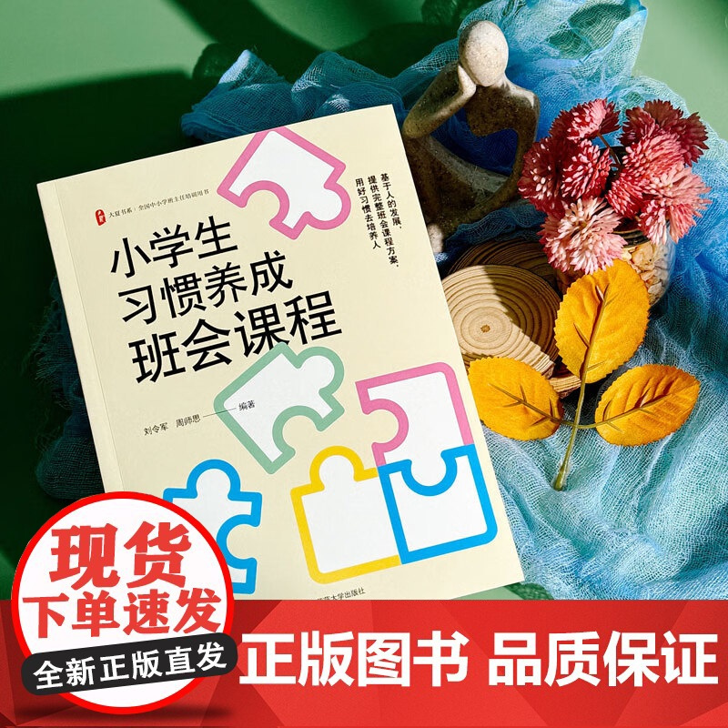 小学生习惯养成班会课程 大夏书系 全国中小学班主任培训用书 教学理论 教师教育 正版书籍