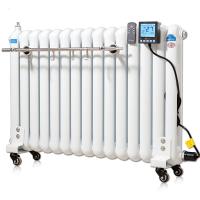 加热水电暖气片家用智能加水电暖器注水取暖器温控节能省电