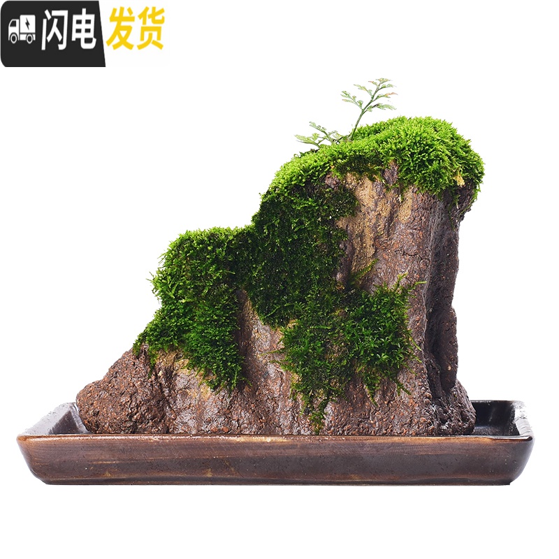 三维工匠苔藓盆栽假山吸水石盆景水培青苔造景办公室桌面净化空气花盆摆件 [肆-假山苔藓盆栽] 小花盆容器高清大图