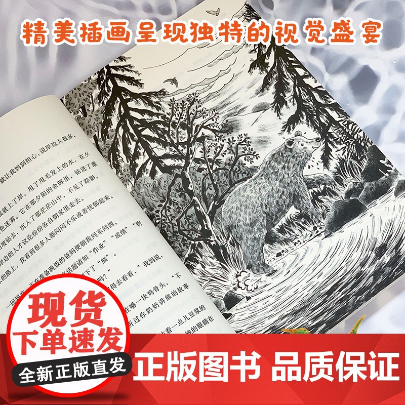 《游泳的熊》2024百班千人六年级暑假阅读小学生课外阅读书籍9-12岁儿童文学小说正版三四五六年级青少年儿童文学成长高清大图