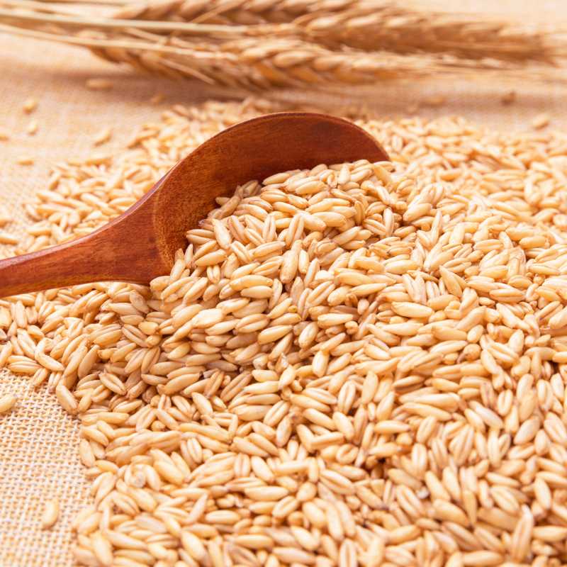 燕之坊心意燕麦仁2斤装五谷杂粮粗粮粥米搭配米饭